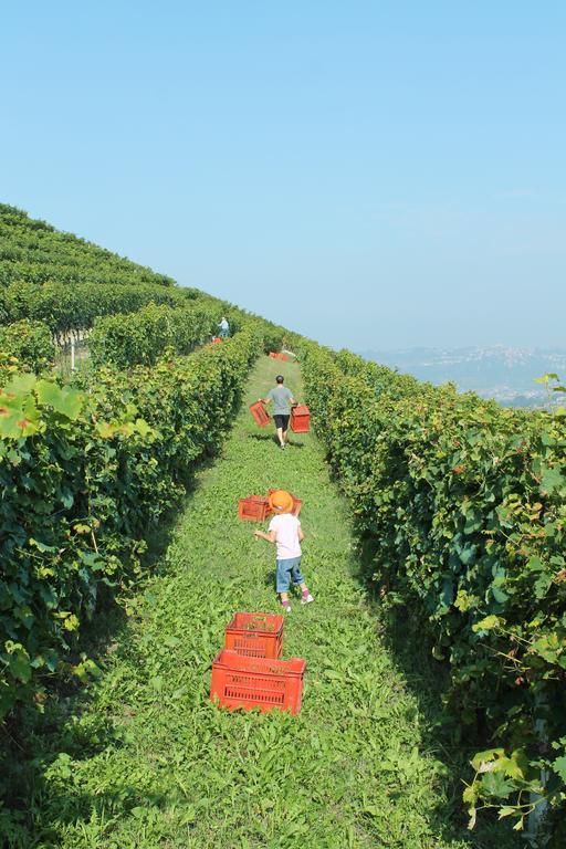 Agriturismo Il Bricco Treiso Exterior foto