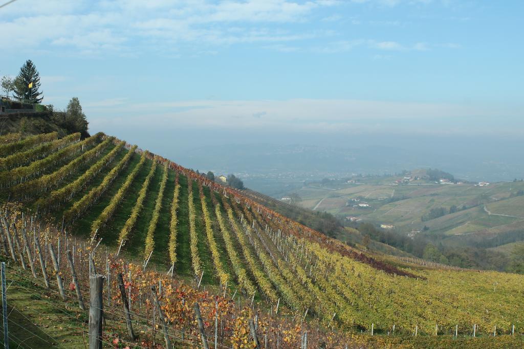 Agriturismo Il Bricco Treiso Exterior foto