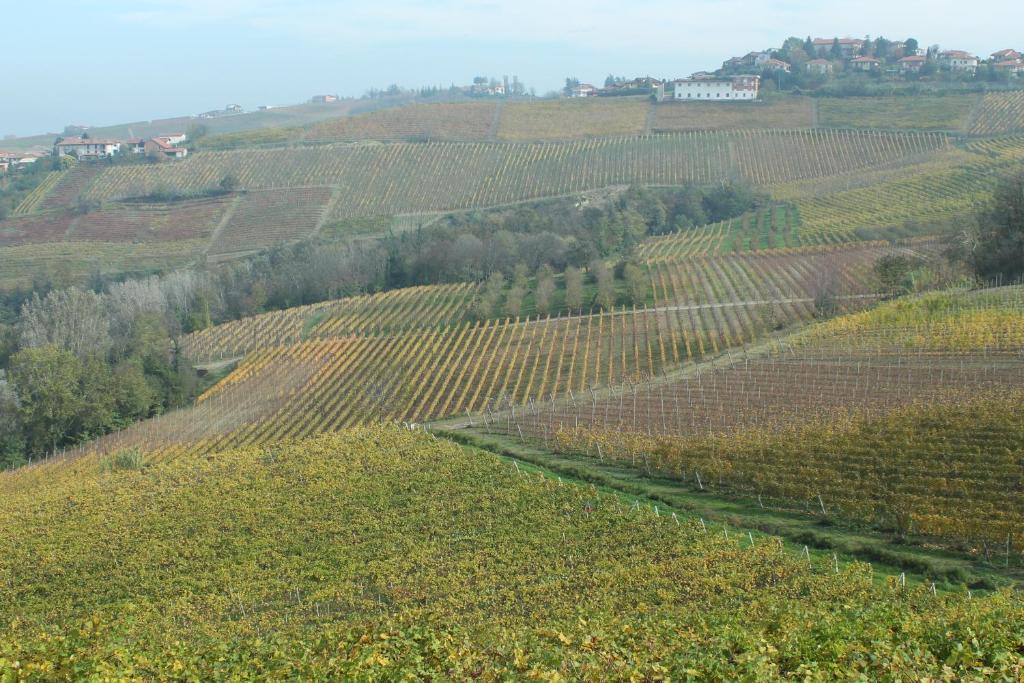 Agriturismo Il Bricco Treiso Exterior foto